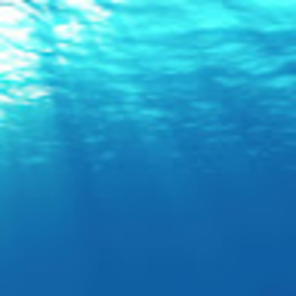 Meet your Posher, Jess - Picture 1 of 1